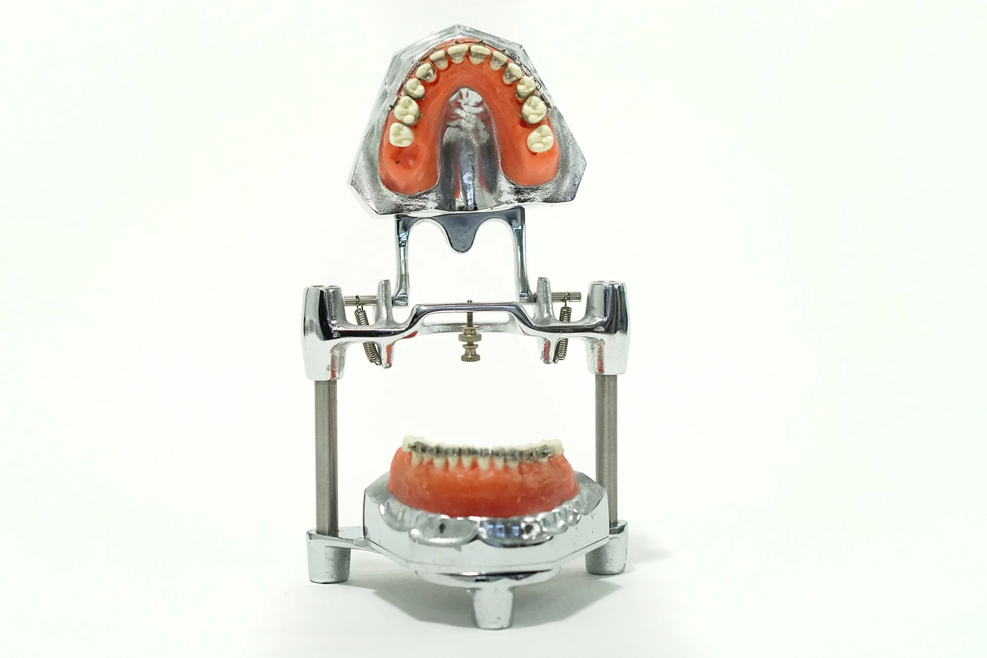 1940's Orthodontic Teeth on Articulator Display — AGENT GALLERY